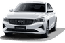 car type