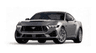 car type