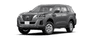 car type