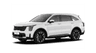 car type