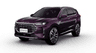 car type