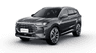 car type